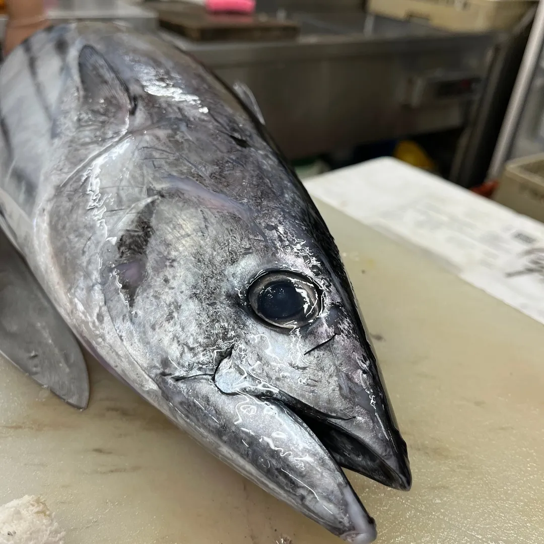 大興寿司です🍣